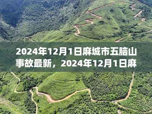 麻城市五脑山事故最新进展全面解析（截至2024年12月1日）