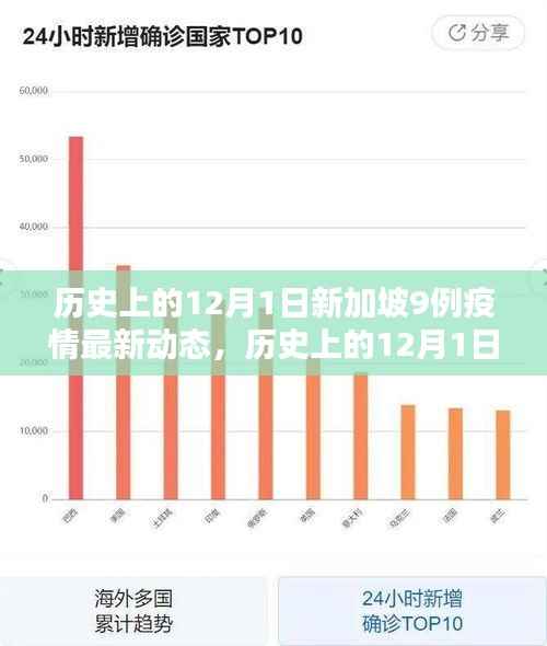 历史上的12月1日新加坡疫情动态,挑战与机遇的交织分析