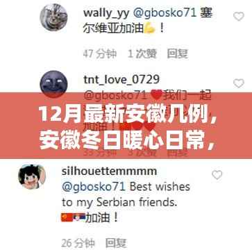 安徽冬日暖心日常,新病例与奇妙逅遇的更新