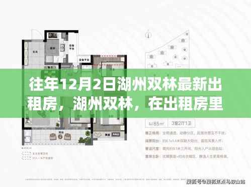 湖州双林,追寻自然微笑与内心宁静的出租房之旅,最新房源一览