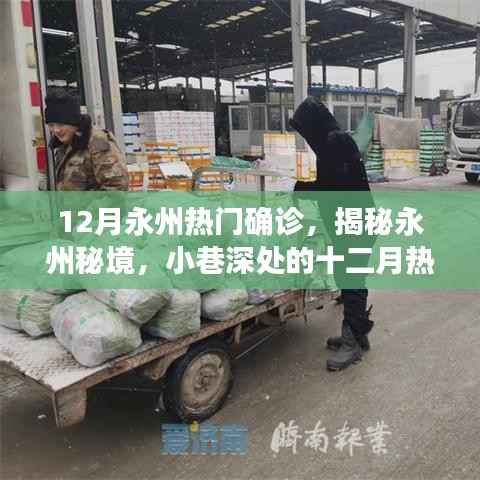 张牙舞爪 第3页
