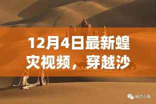 新闻中心 第272页