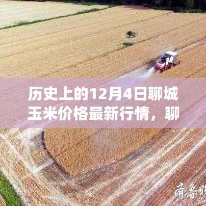 揭秘历史行情与影响，聊城玉米价格风云变幻的12月4日最新行情分析