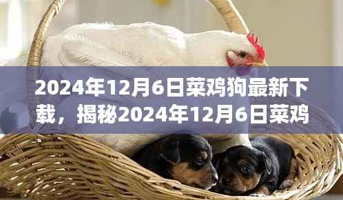 揭秘,2024年12月6日菜鸡狗游戏最新下载动态解析