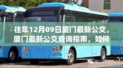 往年12月09日厦门公交最新信息及查询指南,轻松获取公交信息攻略