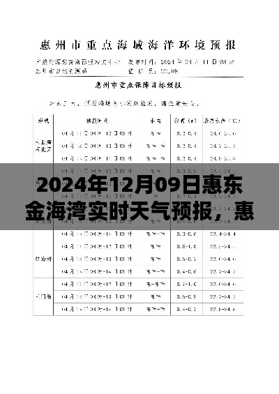 惠东金海湾天气预报深度解析,最新实时气象信息及全面介绍(2024年12月9日)