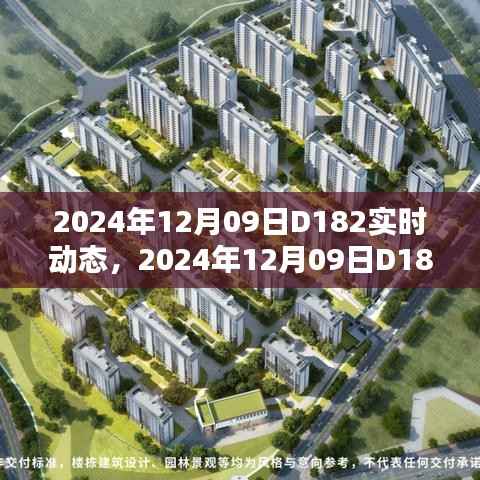 掌握步骤指南,2024年12月09日D182实时动态详解
