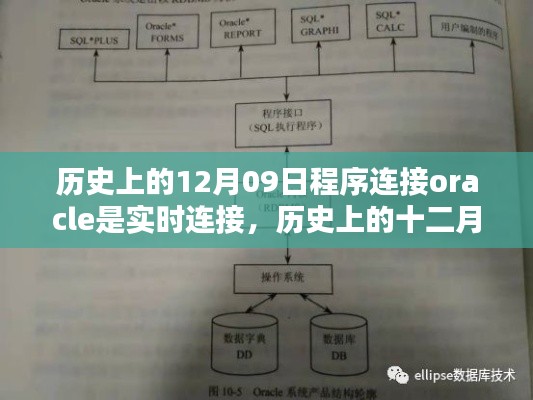 历史上的十二月九日,Oracle数据库实时连接的诞生及其深远影响