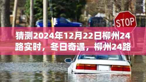 冬日奇遇,柳州24路暖心时光实录(猜测2024年12月22日实时)