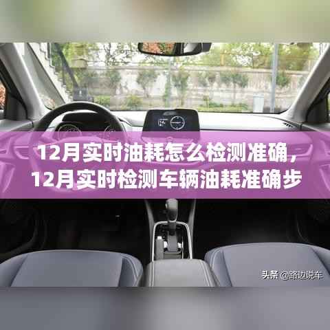 12月实时检测车辆油耗的准确步骤指南