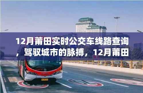 12月莆田实时公交查询,驾驭城市脉络,练就自信与成就感的旅程