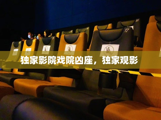独家影院戏院凶座,独家观影