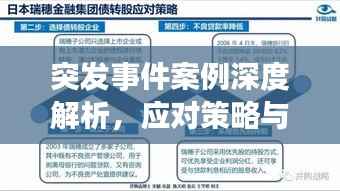 突发事件案例深度解析,应对策略与反思