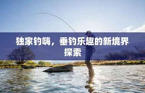 独家钓嗨,垂钓乐趣的新境界探索