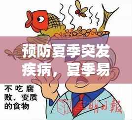 预防夏季突发疾病,夏季易发疾病的预防