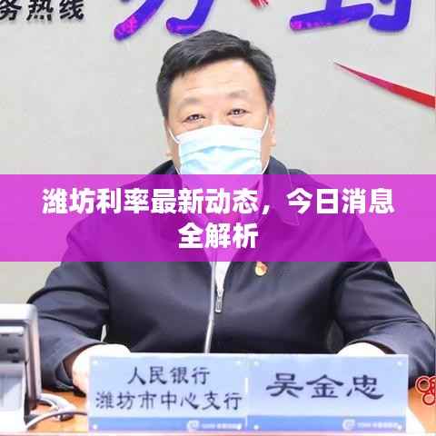 潍坊利率最新动态,今日消息全解析