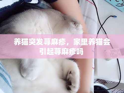 养猫突发荨麻疹,家里养猫会引起荨麻疹吗