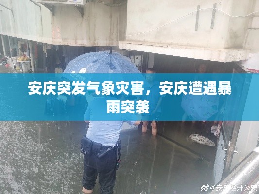 安庆突发气象灾害,安庆遭遇暴雨突袭