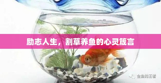 人前显贵 第2页