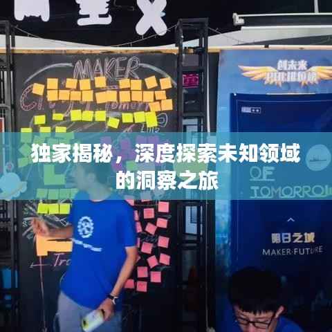 独家揭秘,深度探索未知领域的洞察之旅