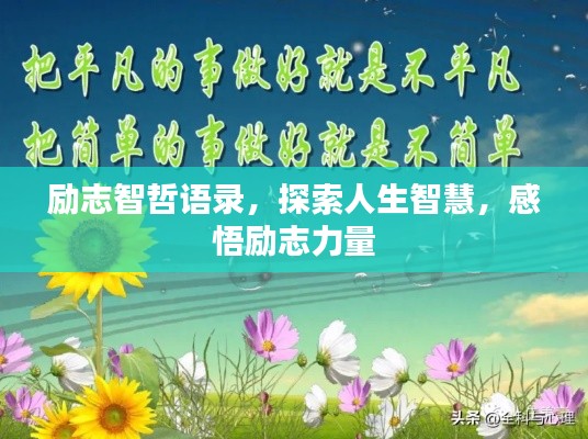 衣不重采 第2页