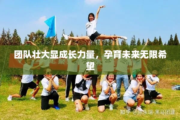 团队壮大显成长力量,孕育未来无限希望