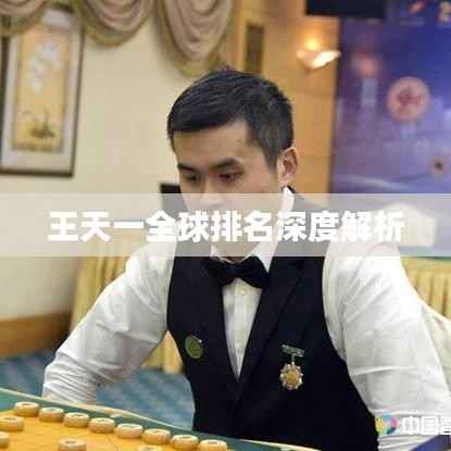 王天一全球排名深度解析