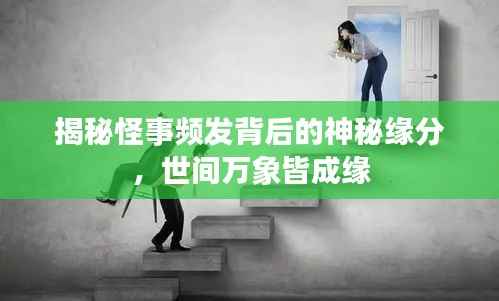容光焕发 第2页