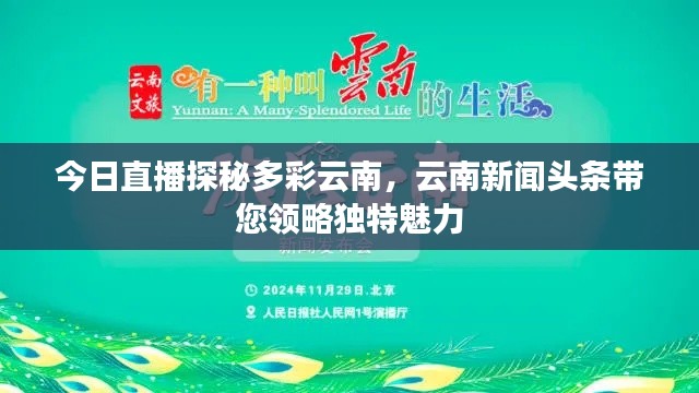 新闻中心 第125页