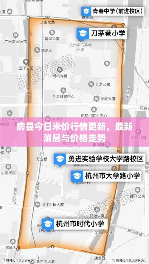 房县今日米价行情更新，最新消息与价格走势