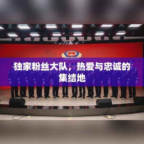 独家粉丝大队，热爱与忠诚的集结地