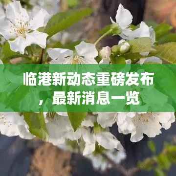 临港新动态重磅发布,最新消息一览