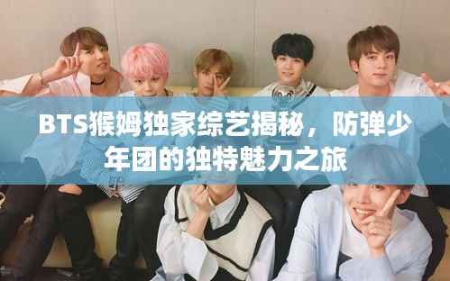 BTS猴姆独家综艺揭秘,防弹少年团的独特魅力之旅
