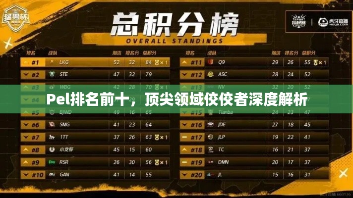 Pel排名前十,顶尖领域佼佼者深度解析