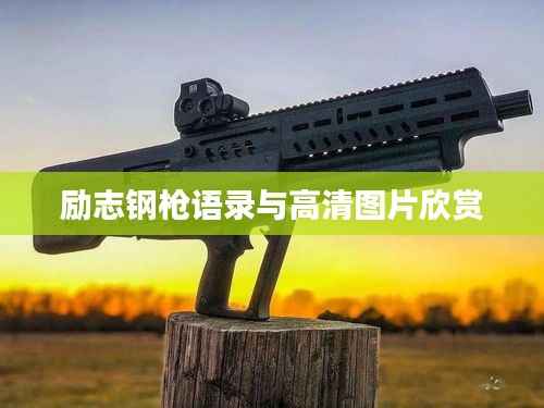 励志钢枪语录与高清图片欣赏