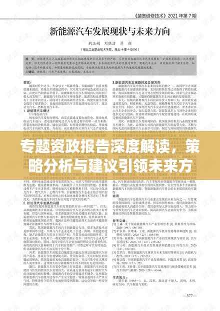 专题资政报告深度解读，策略分析与建议引领未来方向