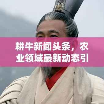 耕牛新闻头条,农业领域最新动态引领者