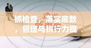 抓检查,落实底数,管理与执行力提升的核心策略