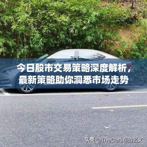 今日股市交易策略深度解析,最新策略助你洞悉市场走势