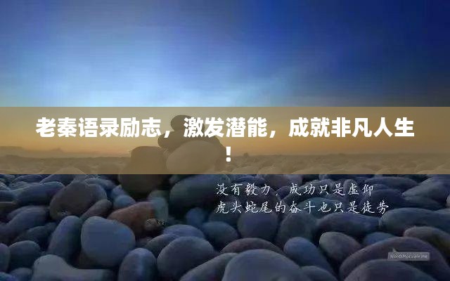 老秦语录励志,激发潜能,成就非凡人生!