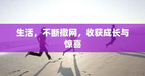 生活,不断撒网,收获成长与惊喜