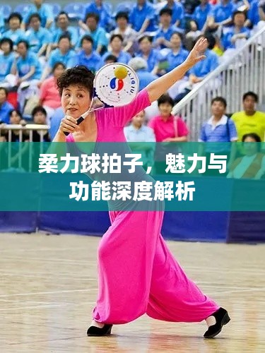 柔力球拍子,魅力与功能深度解析