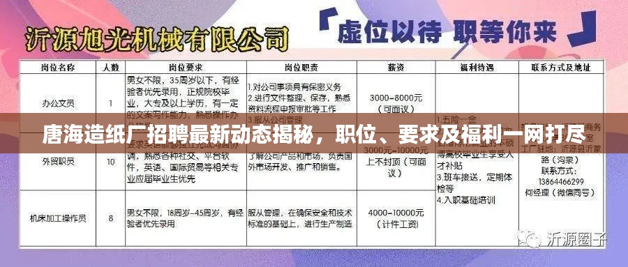 唐海造纸厂招聘最新动态揭秘,职位、要求及福利一网打尽