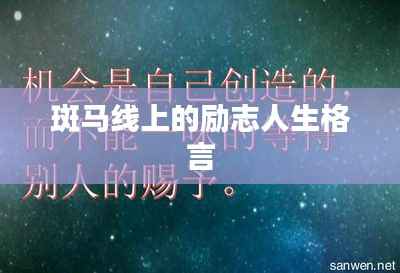 斑马线上的励志人生格言