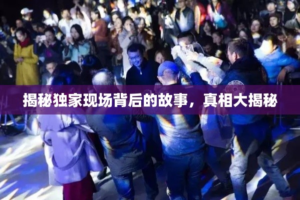 揭秘独家现场背后的故事,真相大揭秘