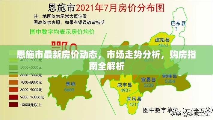 恩施市最新房价动态，市场走势分析，购房指南全解析