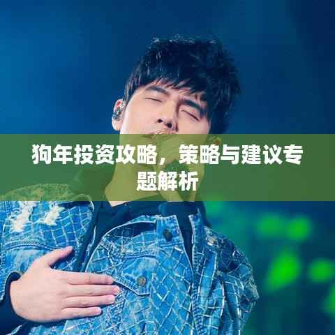 狗年投资攻略,策略与建议专题解析