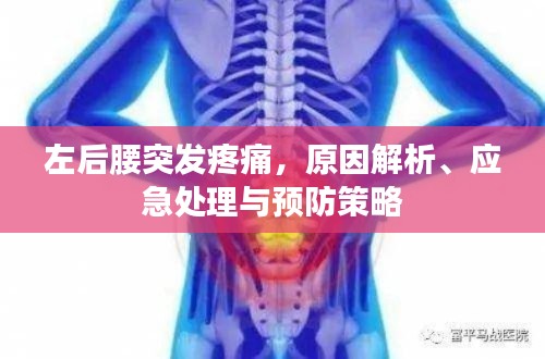 左后腰突发疼痛,原因解析、应急处理与预防策略