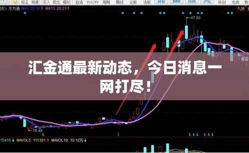 汇金通最新动态,今日消息一网打尽!