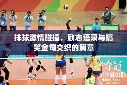排球激情碰撞,励志语录与搞笑金句交织的篇章